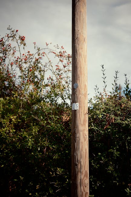 Broadcasting infrastructure pole