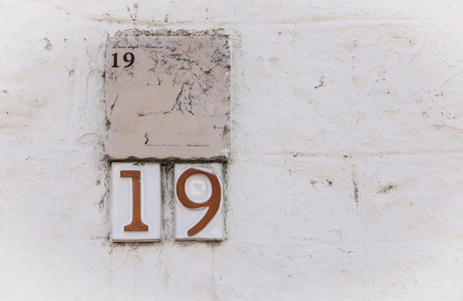 Production number 19